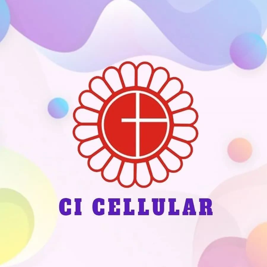 CI CELL
